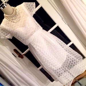 MAVEN Sheer Crop Top & Midi Skirt Set